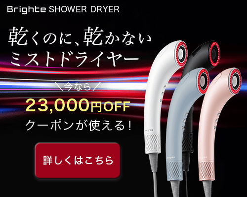 Brighte SHOWER DRYER