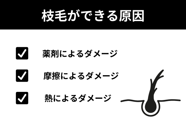 枝毛ができる原因