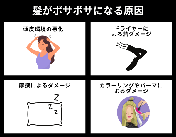 髪がボサボサになる原因