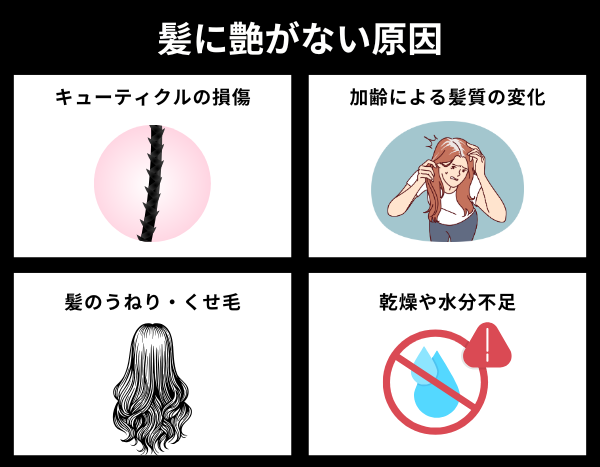 髪に艶がない原因