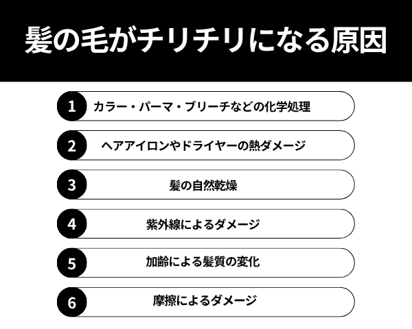髪の毛がチリチリになる原因