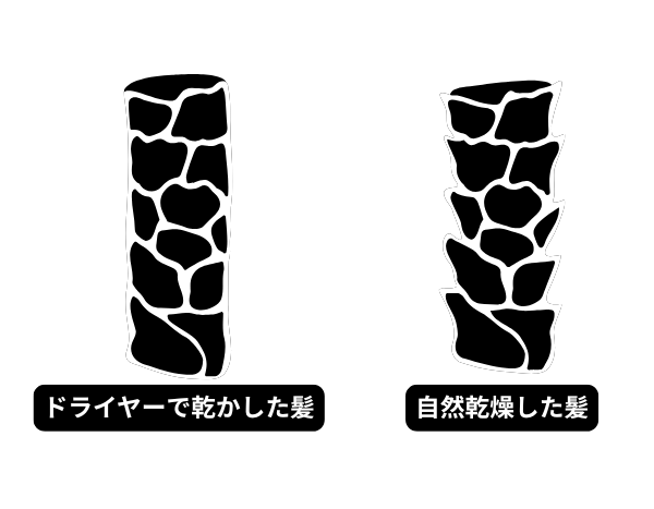 髪の自然乾燥