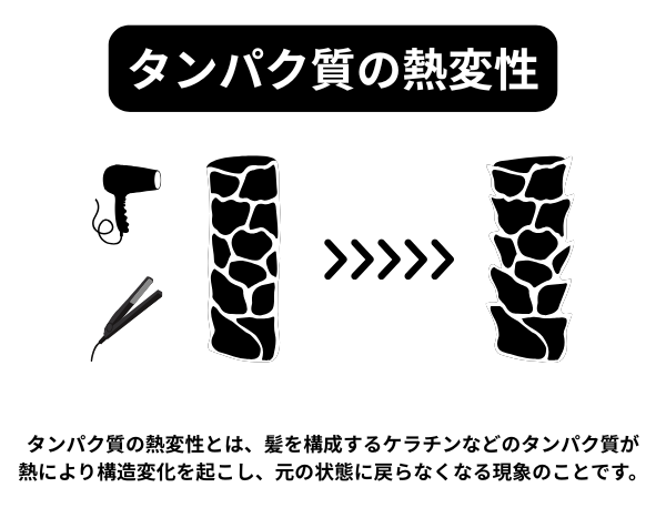 タンパク質の熱変性