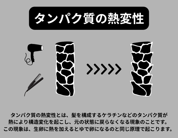 タンパク質の熱変性