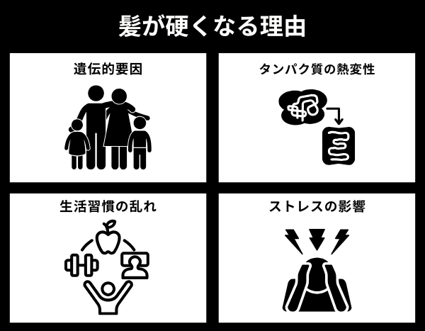 髪が硬くなる理由