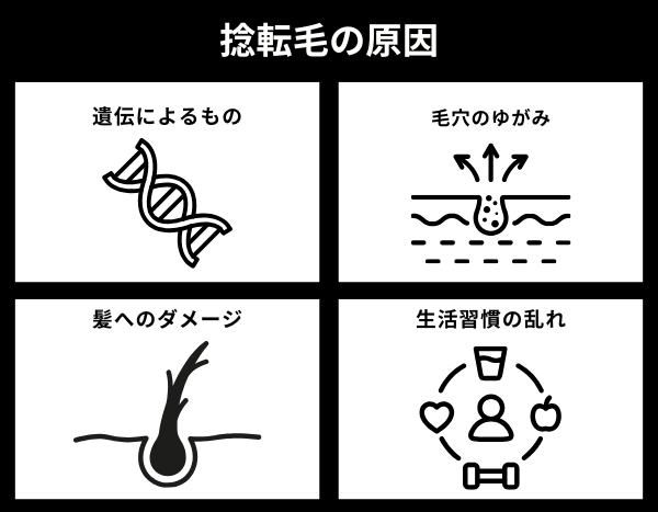 捻転毛の原因が分かる画像