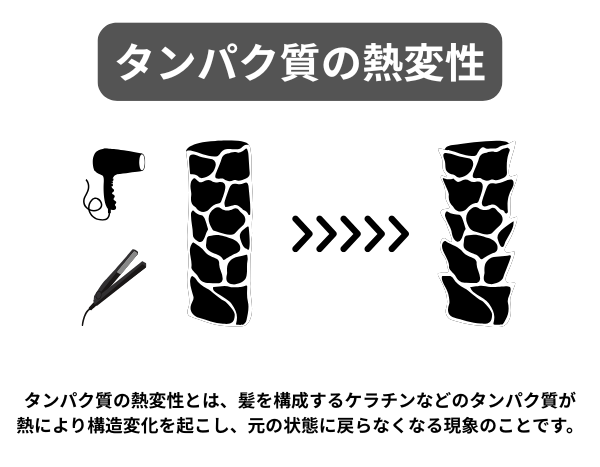 タンパク質の熱変性が分かる画像
