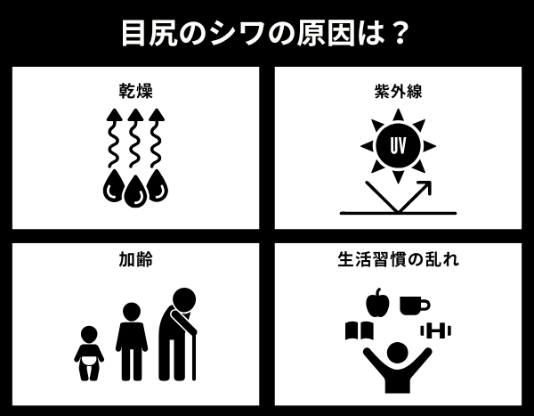 目尻のシワの原因がわかる画像