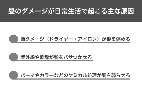 髪のダメージが日常生活で起こる主な原因