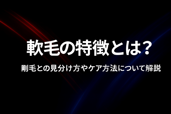 軟毛の特徴とは？剛毛との見分け方やケア方法について解説