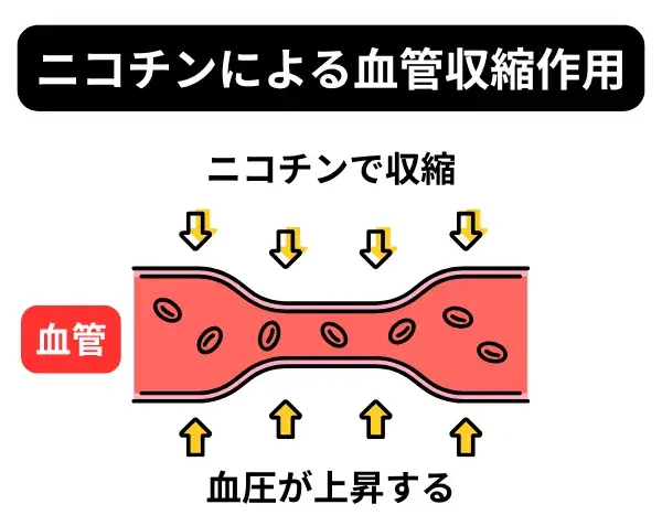 ニコチンによる血管収縮作用