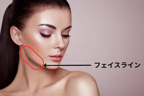 フェイスライン