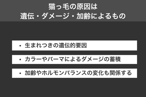猫っ毛の原因は遺伝・ダメージ・加齢によるもの