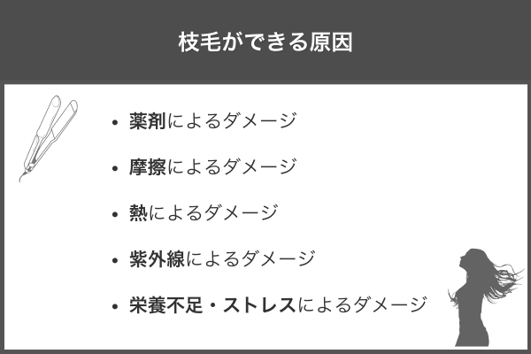 枝毛ができる原因