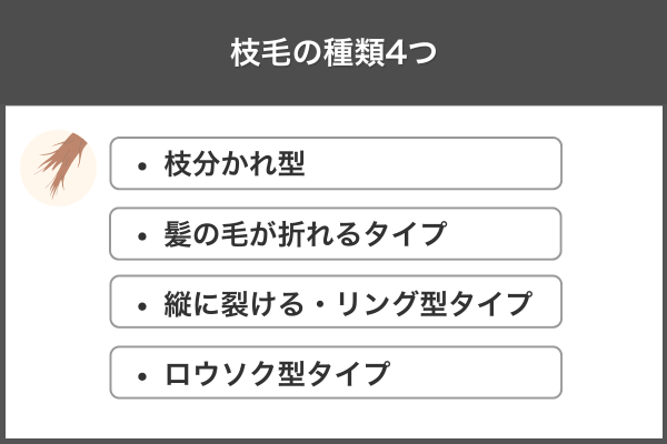 枝毛の種類4つ