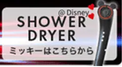 SHOWER DRYER