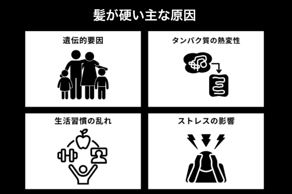髪が硬い主な原因