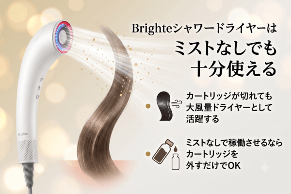 Brighteシャワードライヤーはミストなしでも十分使える